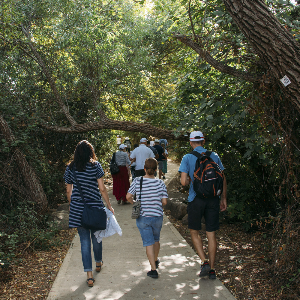 group-of-tourists-walking-through-natural-reserve-2024-05-27-02-02-13-utcSquare